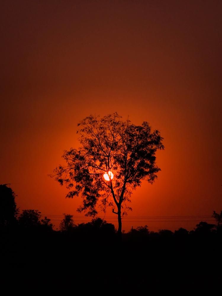 Photograph by ashish pawar