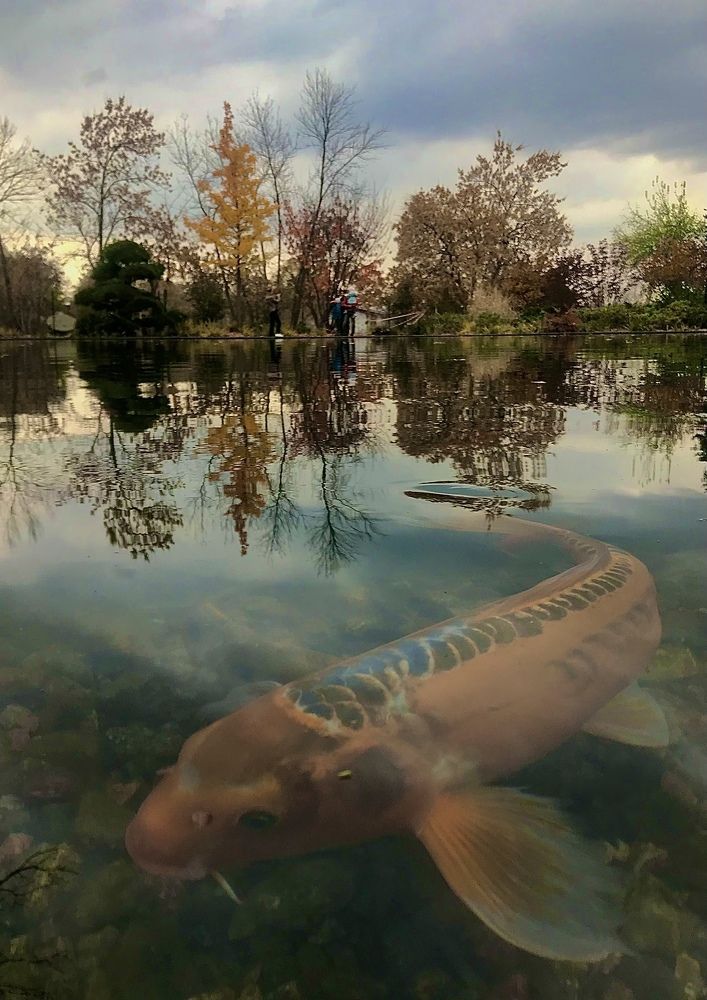 Ботанический сад