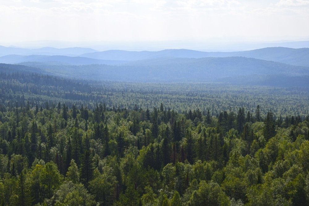 Photograph by Екатерина Чёрная