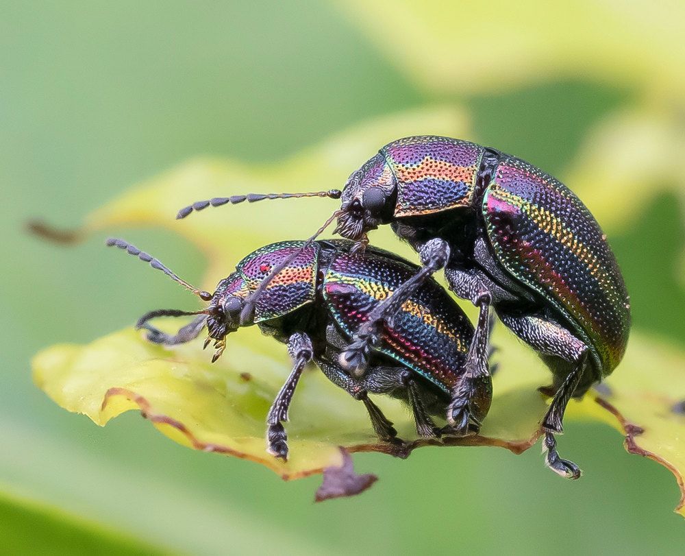 Photograph by Bibhas Deb