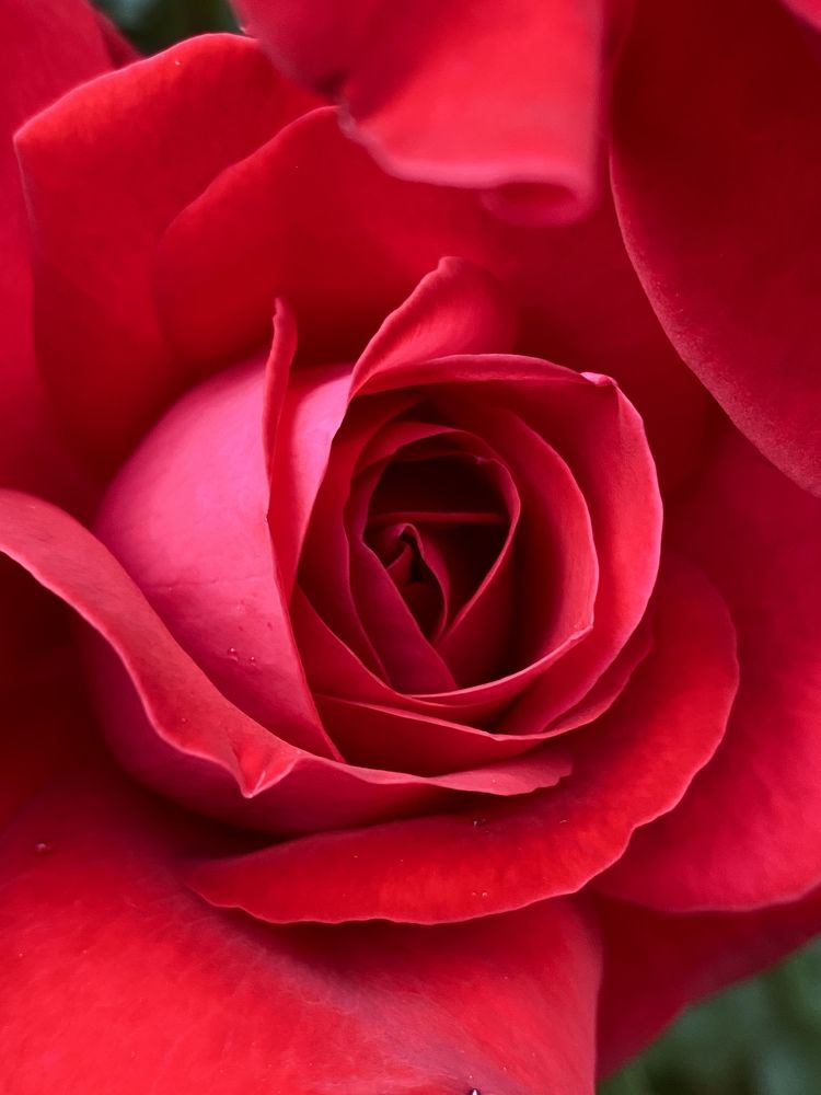 Photograph by Юлия Сушко