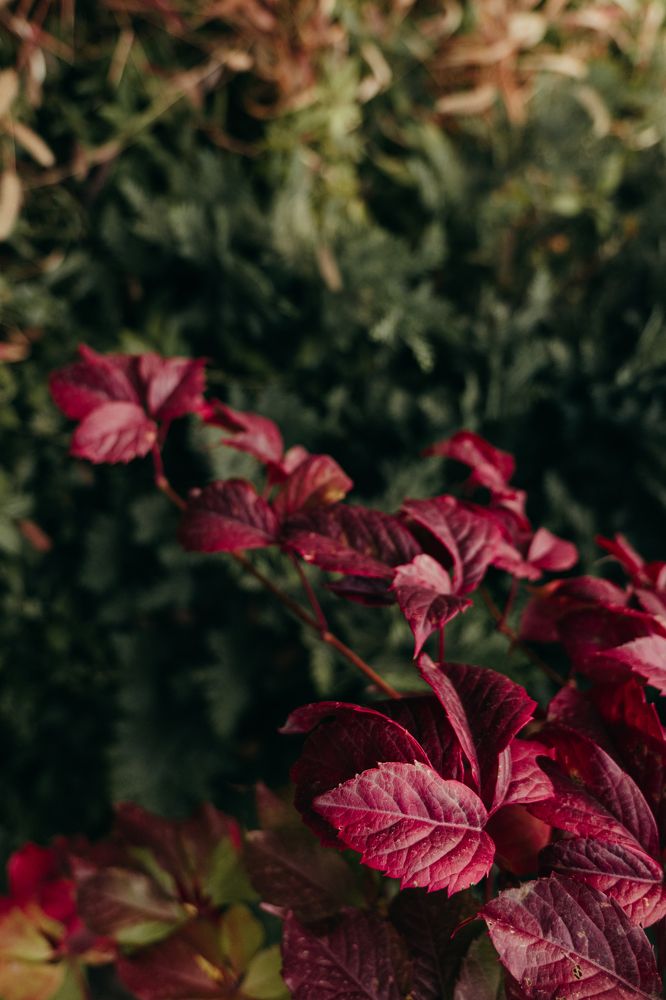 Photograph by Остапенко Алина