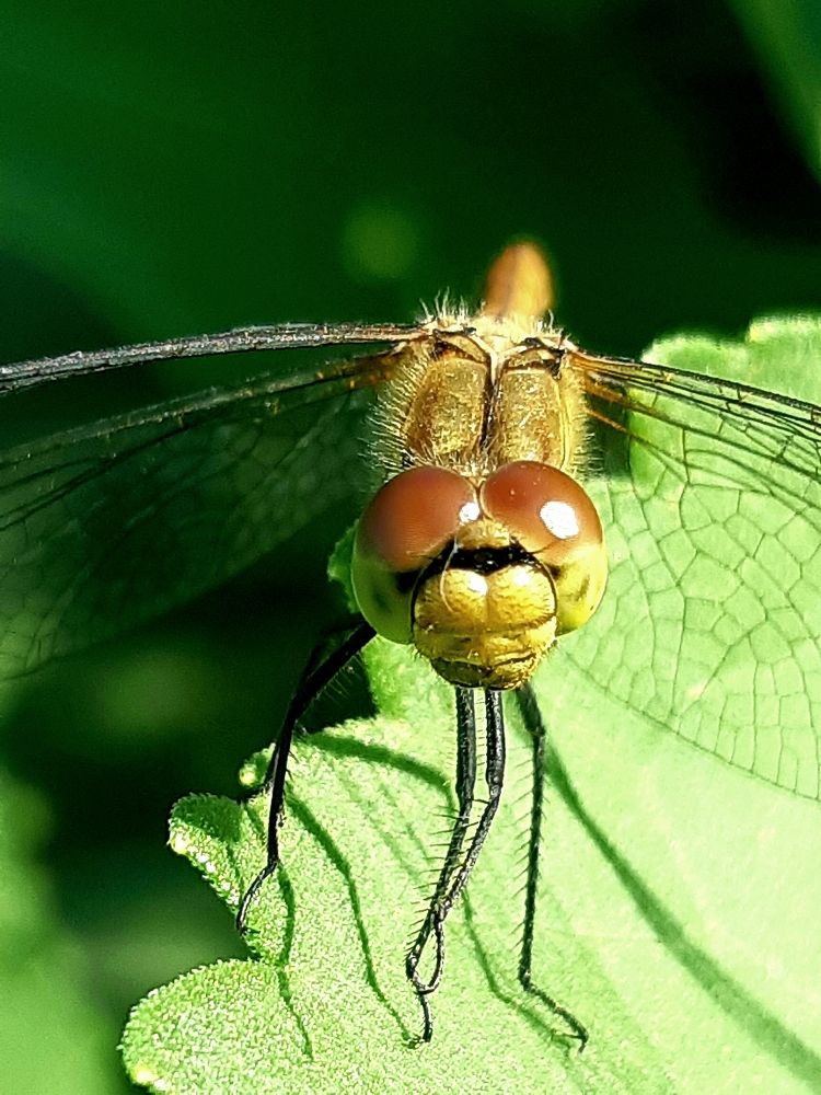 Photograph by Ольга Александрова