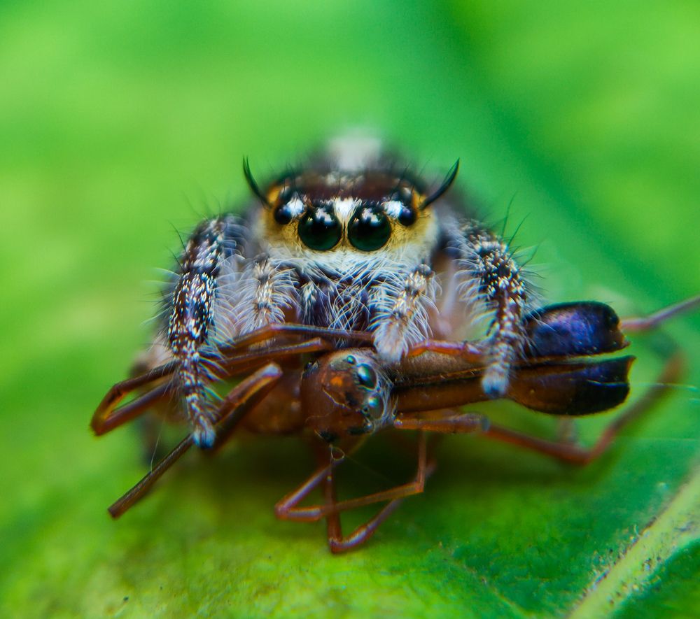 Photograph by Ajeesh A