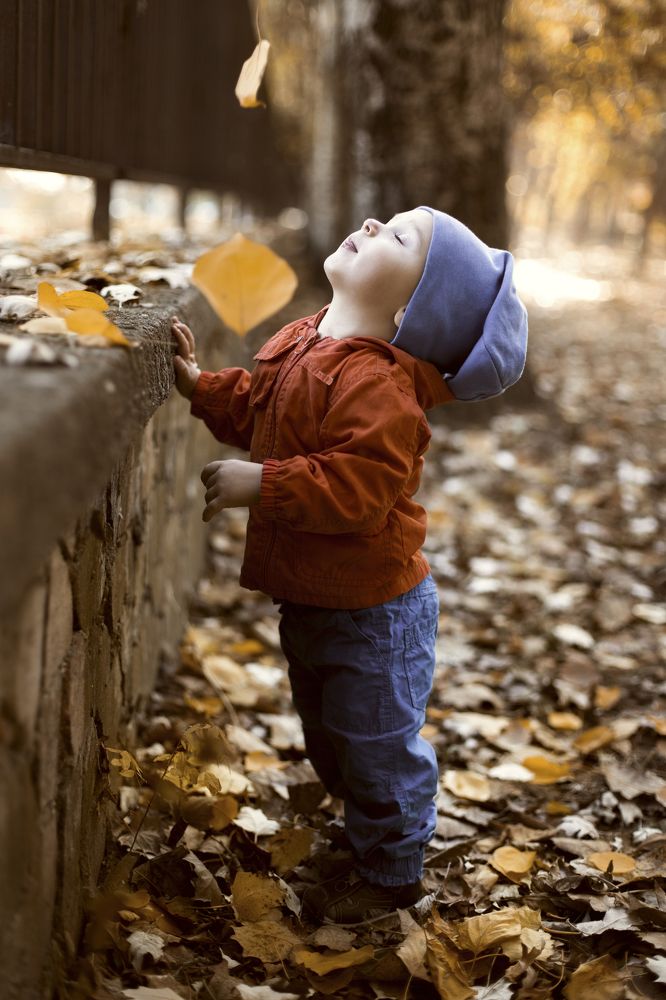 Photograph by Соколова Ирина