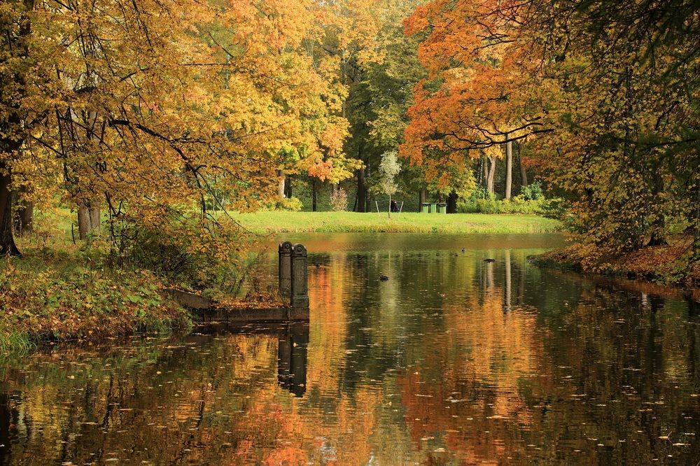 Рисует осень