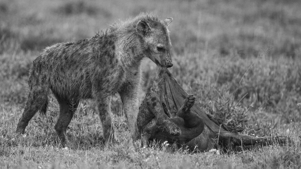 Photograph by Khazov Artem