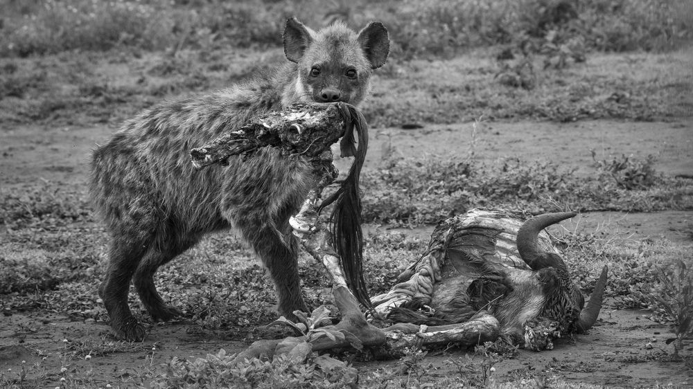 Photograph by Khazov Artem