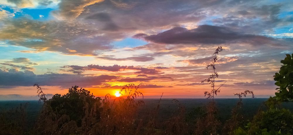 Photograph by L W Pasindu Lakshan