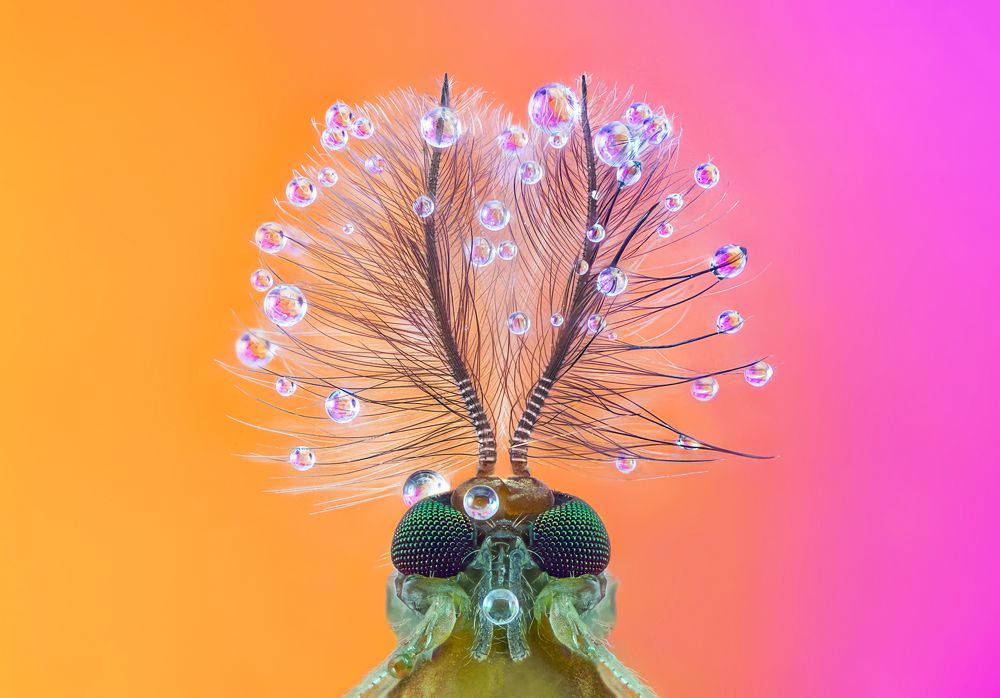 Photograph by Pedro Luis Ajuriaguerra Saiz