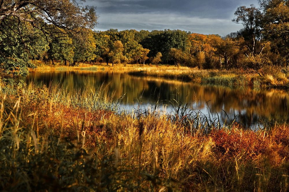 Photograph by Александр Кордюков