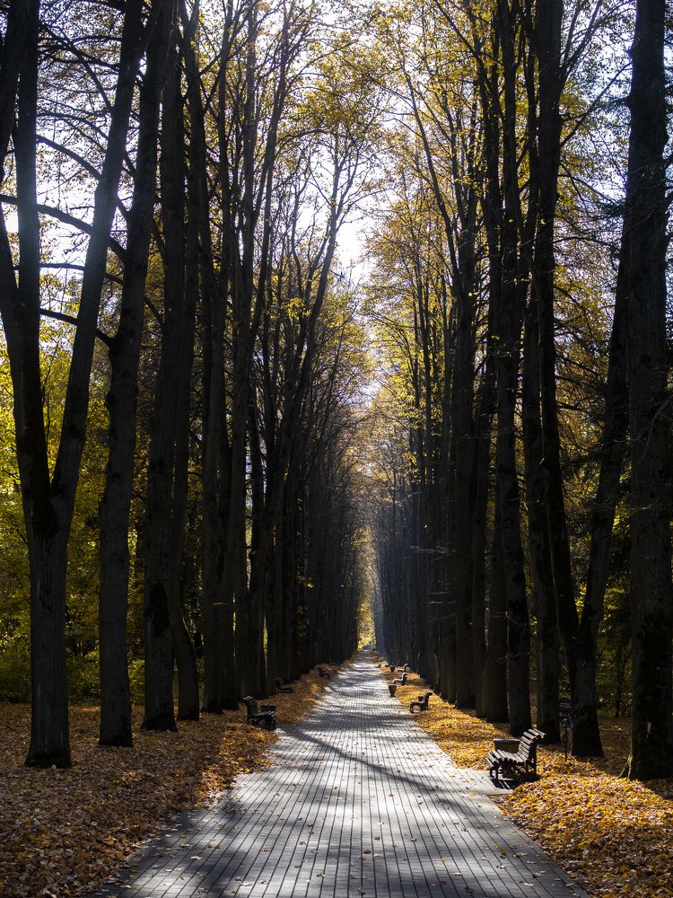 Photograph by Екатерина Бердутина