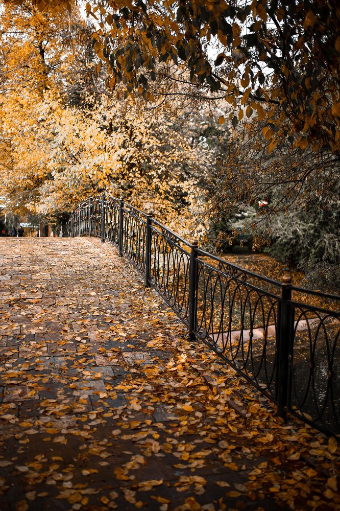 Photograph by Индира Кузнецова