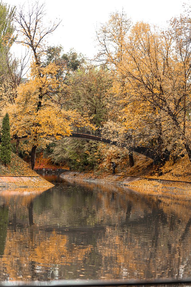 Photograph by Индира Кузнецова