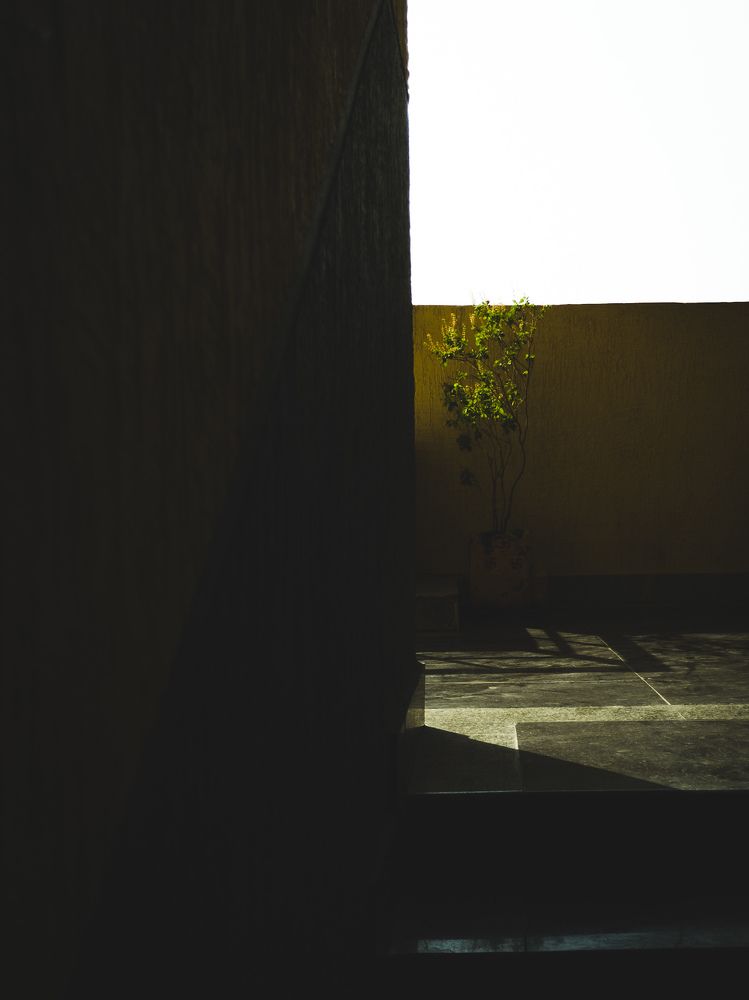 Photograph by Sidharth Sen