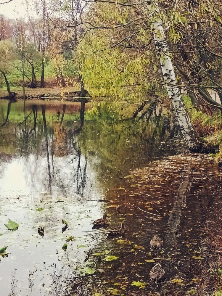 Photograph by Елена Лепешкина