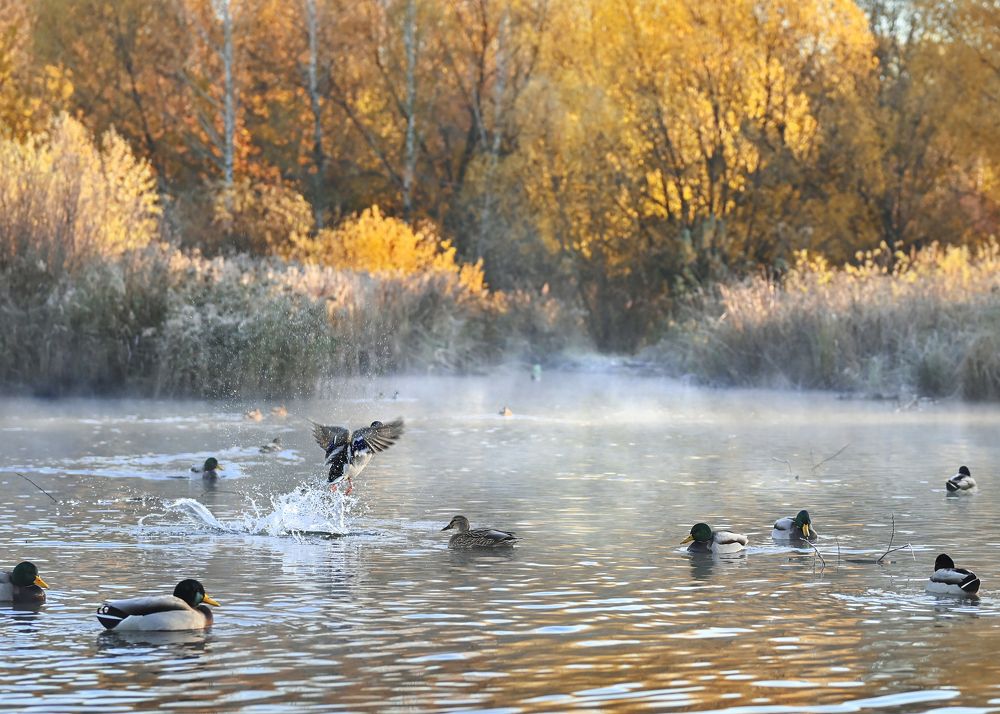 Photograph by Жанна Агафонова