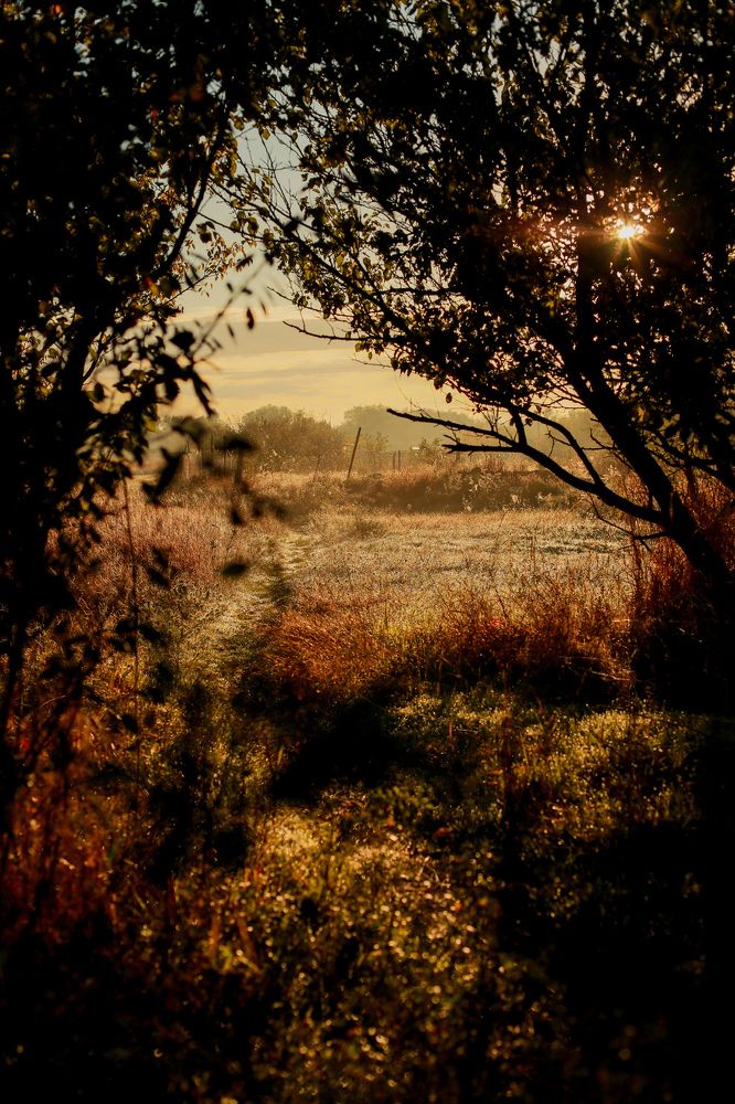 Photograph by Виктория