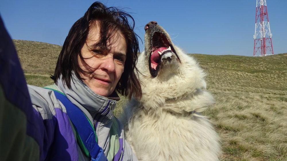 Photograph by Елена Мясникова