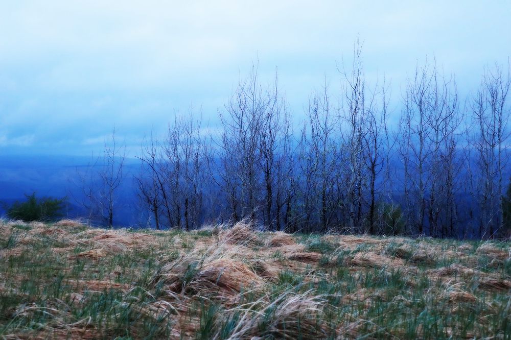 Photograph by Anna Perevozchikova