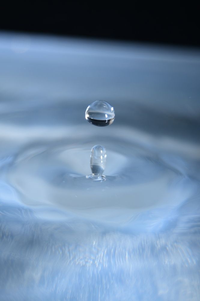 Фотография автора Григорьев Алексей