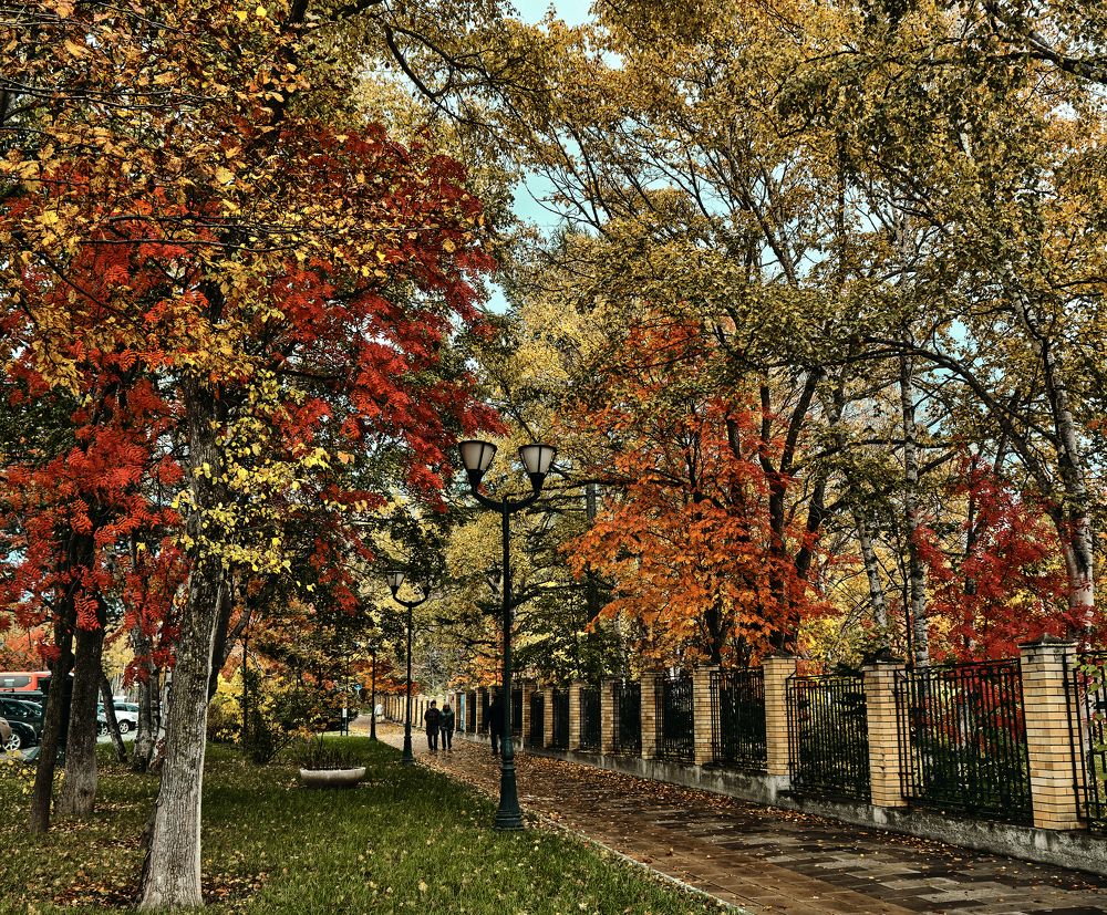 Photograph by Андрей Бельцов