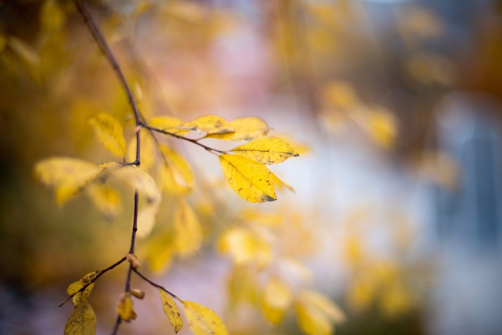 Photograph by Евгений