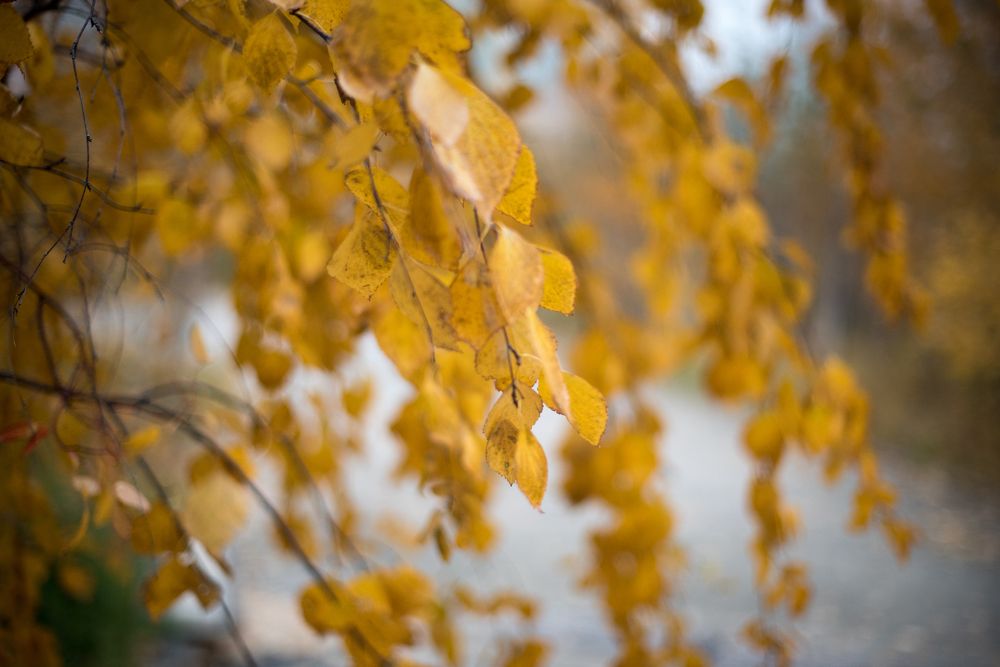 Photograph by Евгений