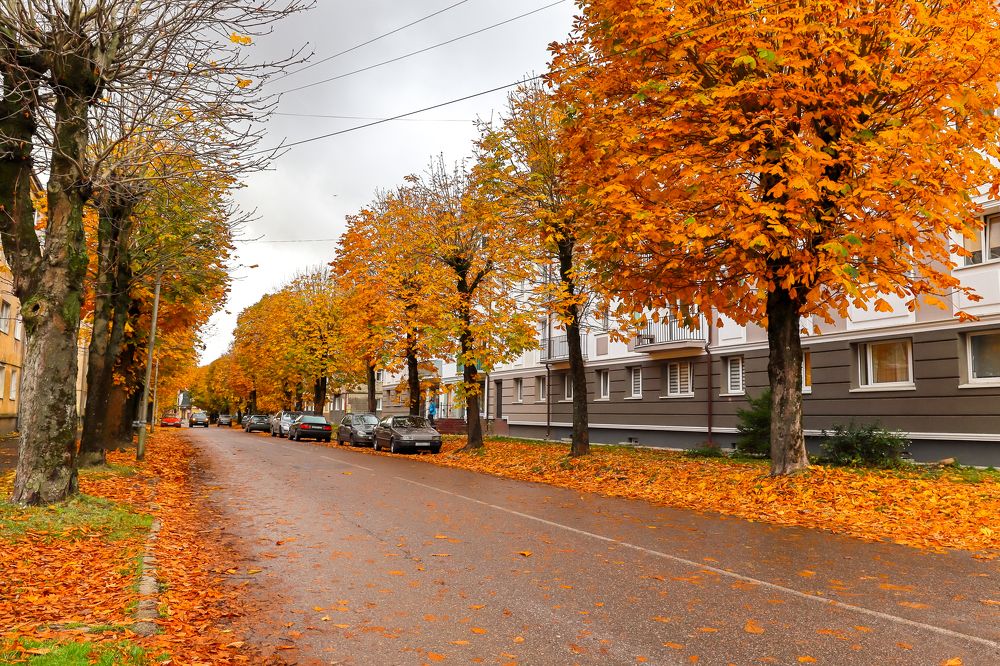 Photograph by Адриана