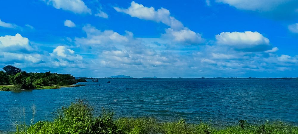 Photograph by L W Pasindu Lakshan