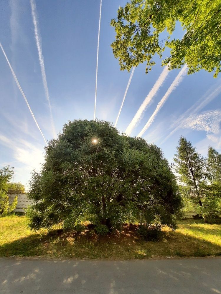Фотография автора Ольга Кунакова