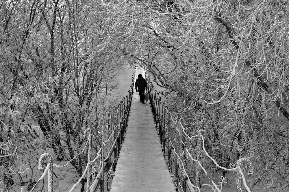 Photograph by Мишустина Татьяна