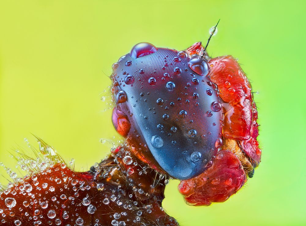 Photograph by Pedro Luis Ajuriaguerra Saiz