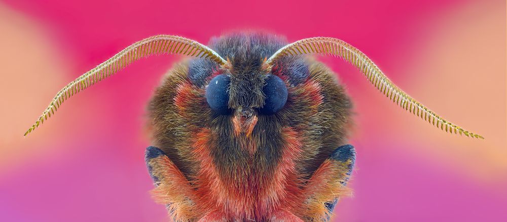 Photograph by Pedro Luis Ajuriaguerra Saiz