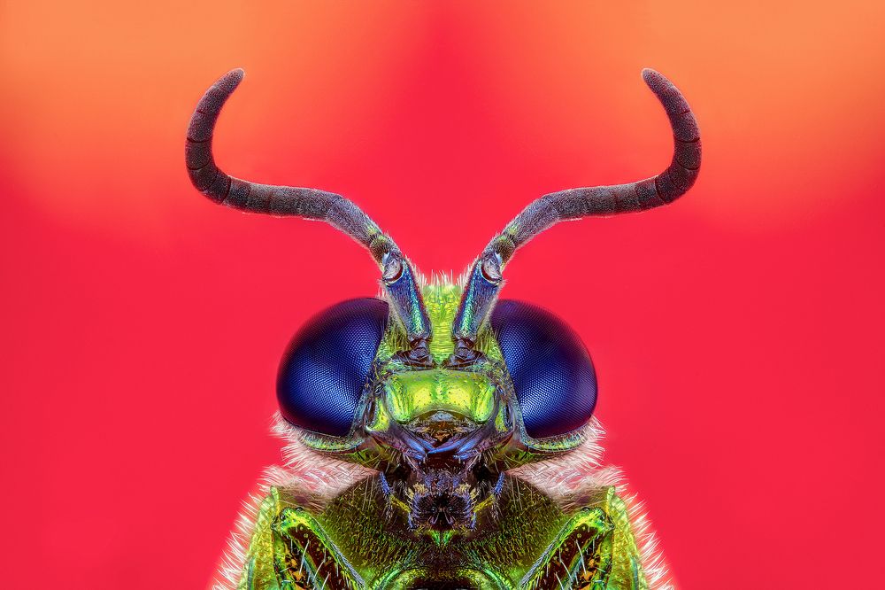 Photograph by Pedro Luis Ajuriaguerra Saiz