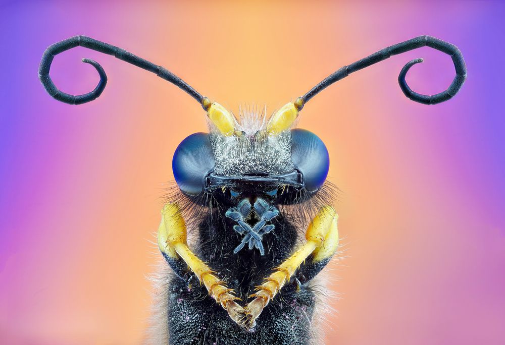 Photograph by Pedro Luis Ajuriaguerra Saiz