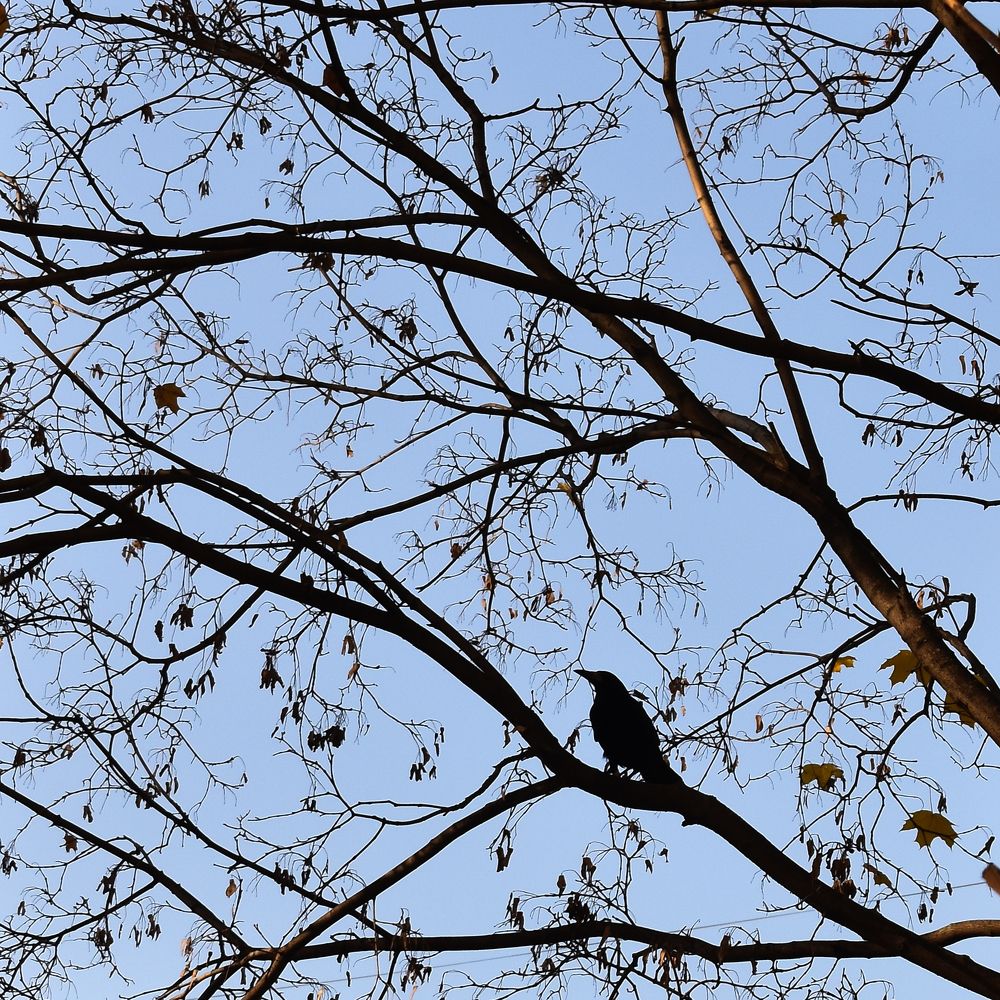 Photograph by Татьяна Носкович