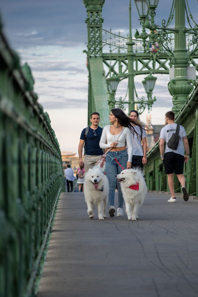 Photograph by Daniel Kiss