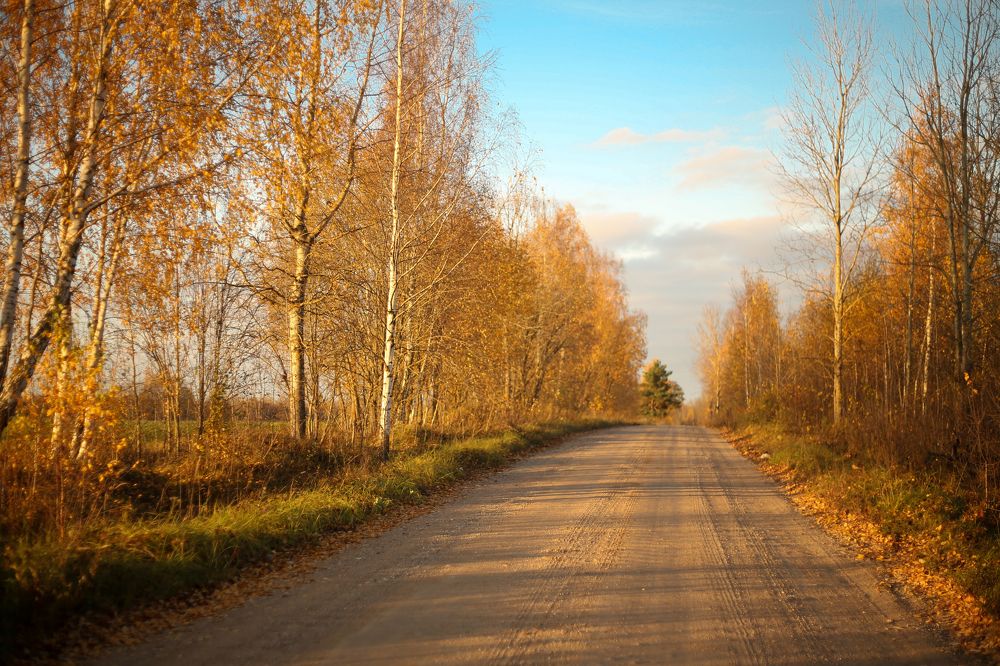 Photograph by Наталья Муравейко