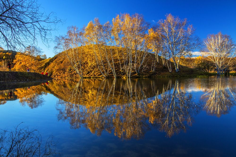 Photograph by 南輝 何