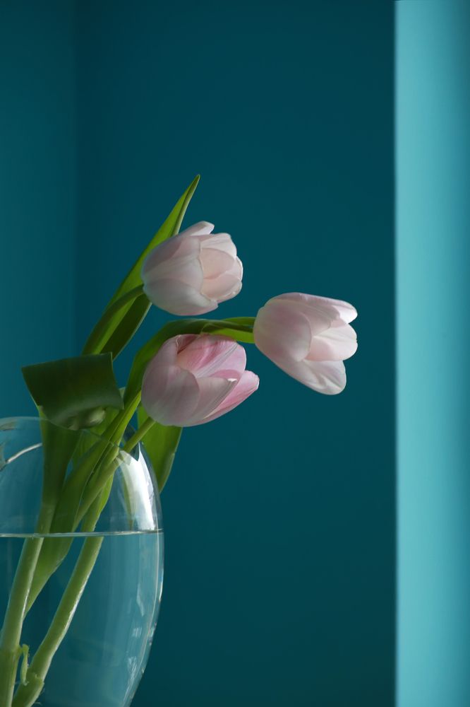 Photograph by Ralitsa Byalkova