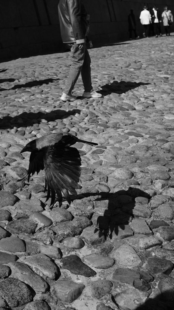 Photograph by Николай Спевак