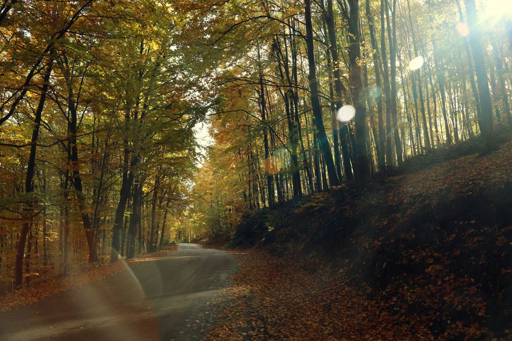 Photograph by Ralitsa Byalkova