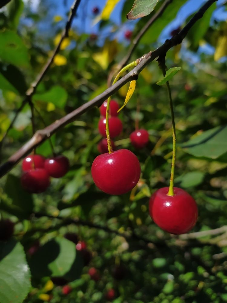 Photograph by Ekaterina Kozlova