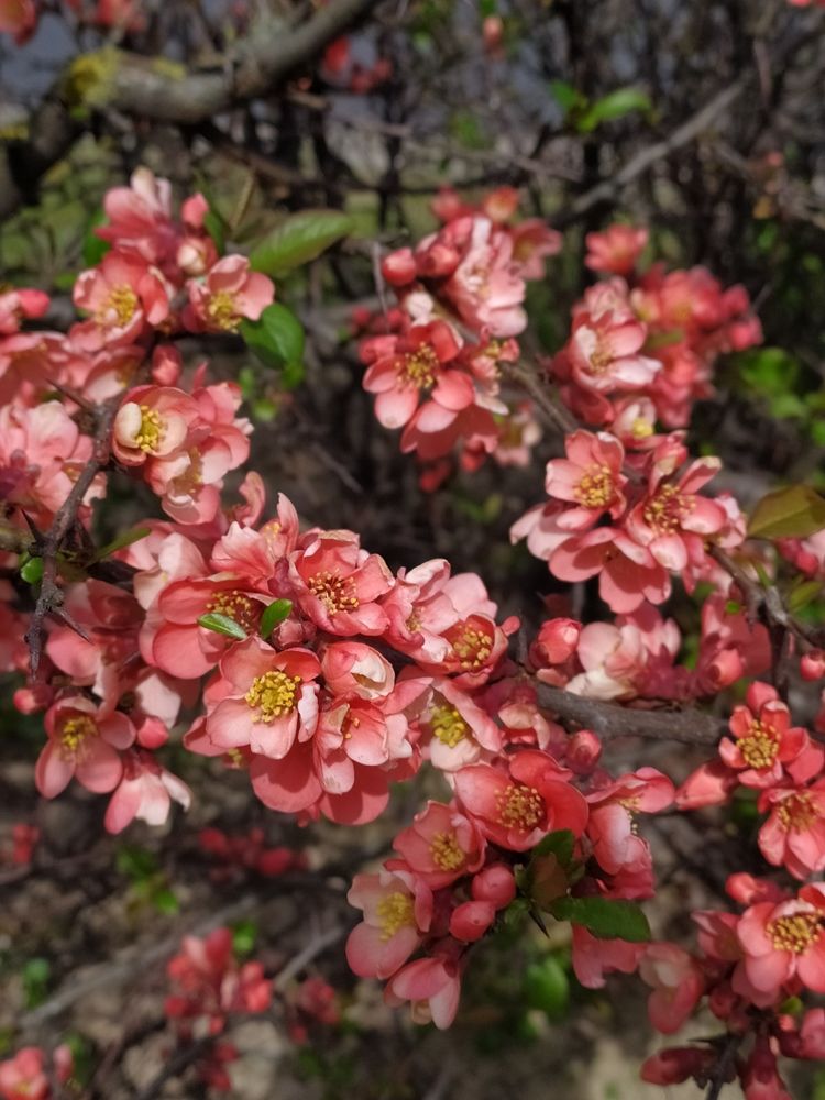 Photograph by Ekaterina Kozlova