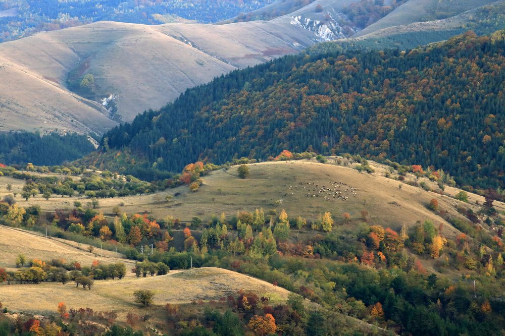 Photograph by Ralitsa Byalkova