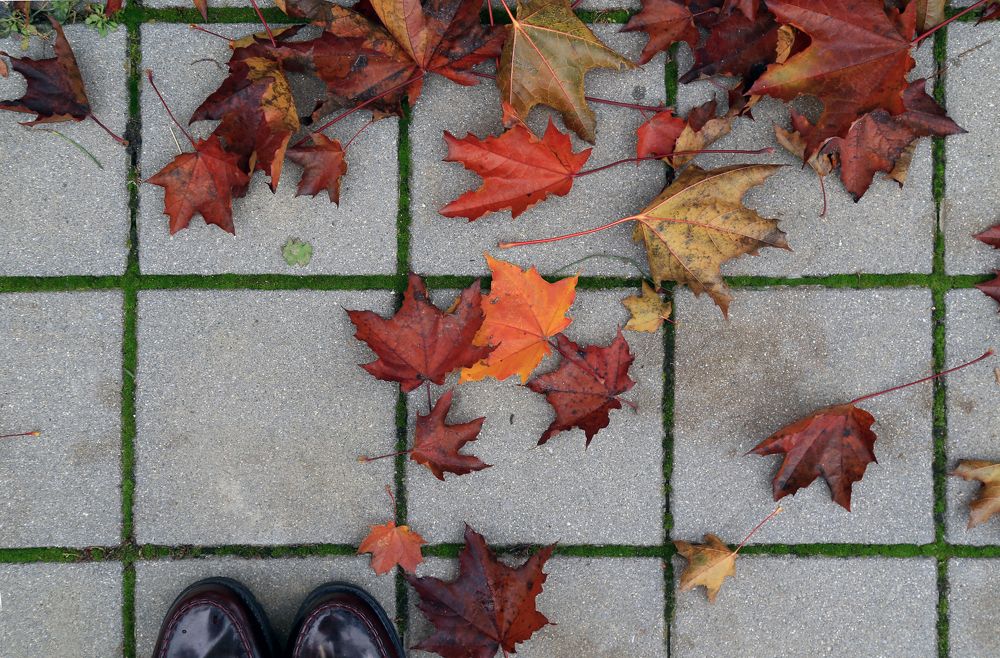 Photograph by Ralitsa Byalkova