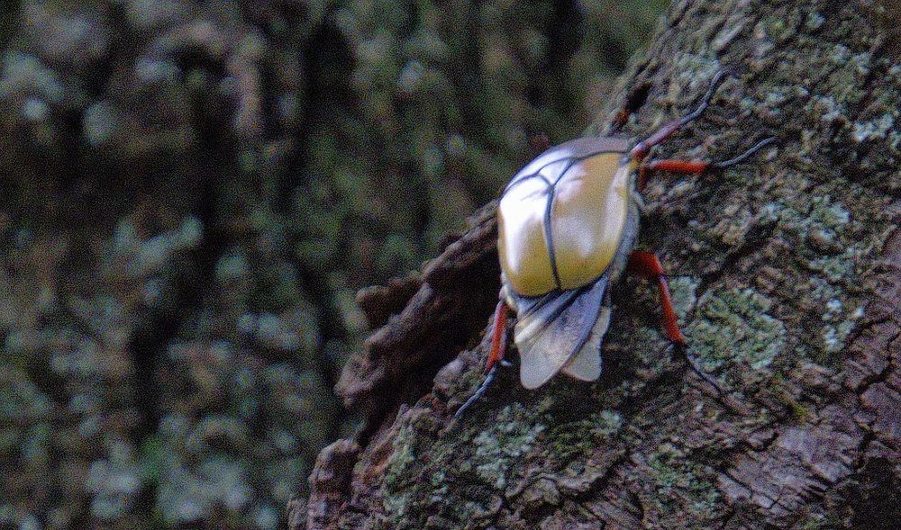 Photograph by Epp Tappel