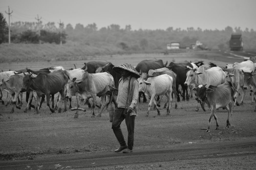 Photograph by Mohit Sain