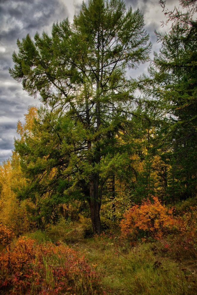 Photograph by Виктория Лобанова